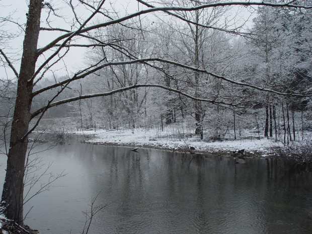 Cove in winter at Caro Drive