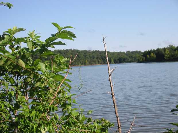 Looking up the lake at Caro Drive