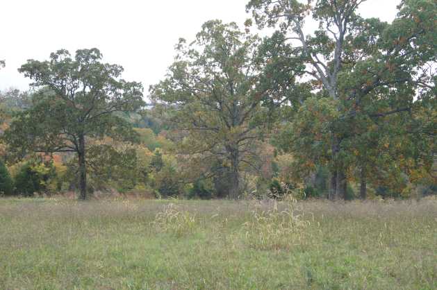 Lot 7 near old farm road at Caro Drive