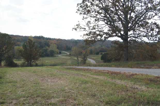 Road through Pilot View Acres at Caro Drive