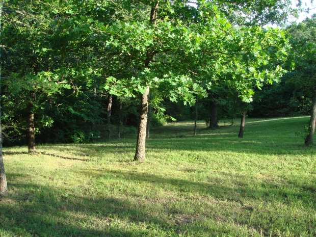 Park-like grounds in summer at Caro Drive