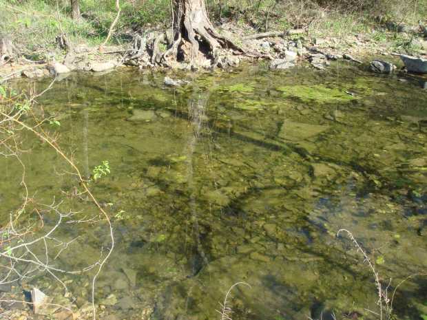 Reflections in creek at Caro Drive