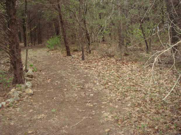 Along paths at Caro Drive