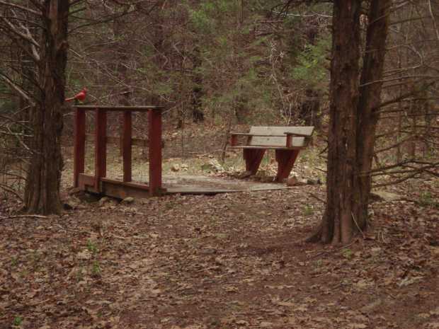 Bridge along trail at Caro Drive