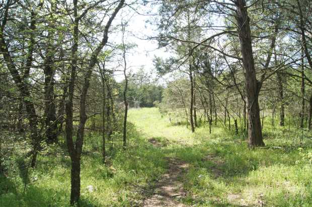 Trail to Lot 7 at Caro Drive