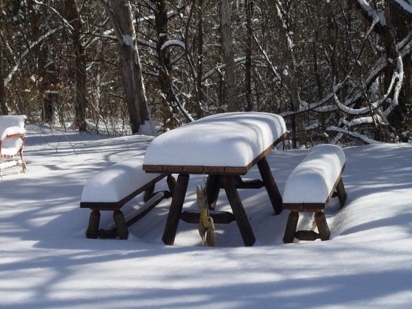 Snow and picnic